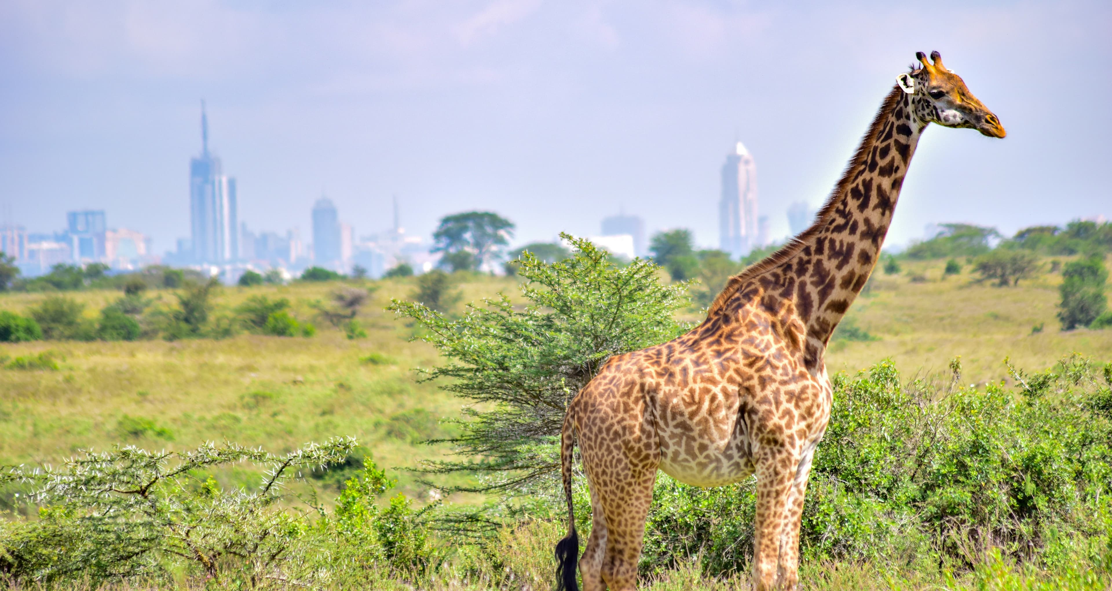 Kenya
