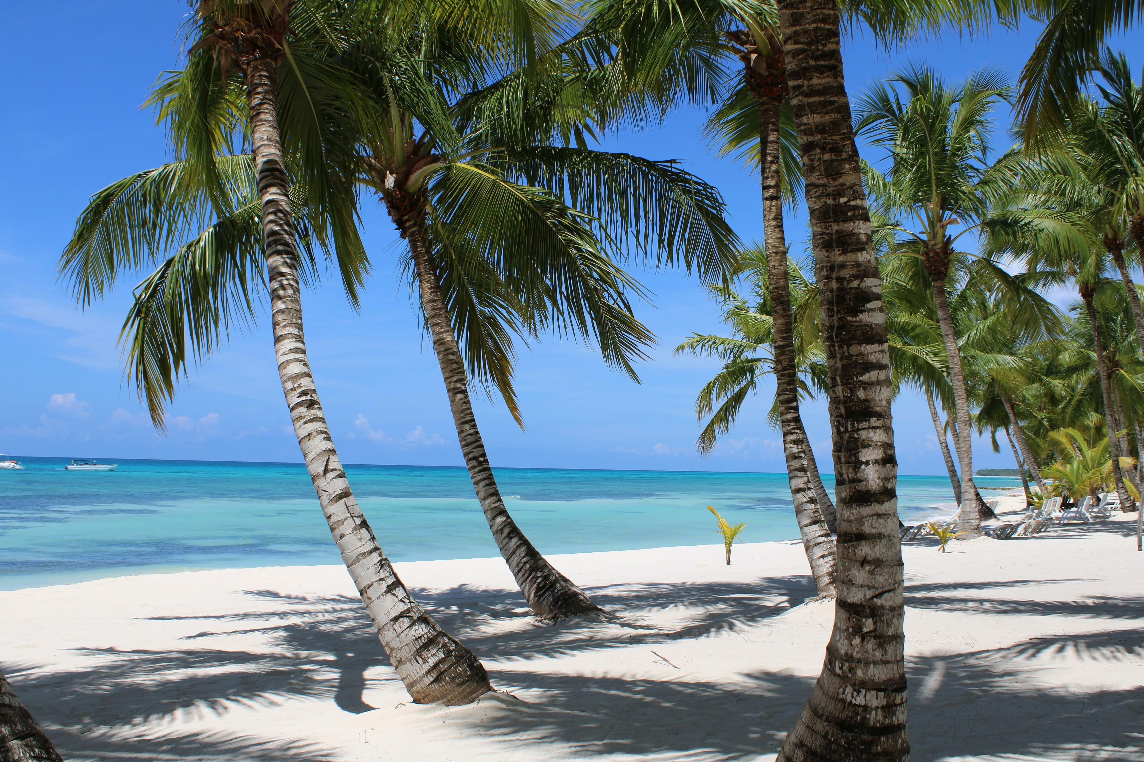Dominican Republic